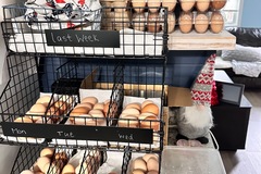 Selling with online payment: Fresh eggs 