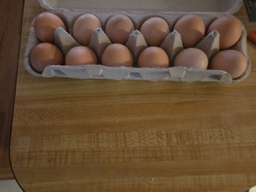 Selling with In-person Payment: fresh eggs