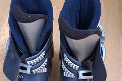Winter sports: Tecnica ski boots Duo 40, size 6.5