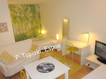Renting out: Furnished top floor 33m² studio+10m² balcony near Aalto Uni