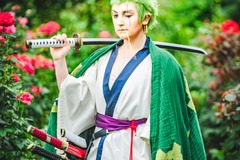 Selling with online payment: Wano Zoro