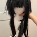 Selling with online payment: Dan Heng IL wig + horns