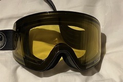 Winter sports: Mens Dragon ski google