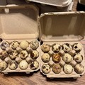 Selling with In-person Payment: Fresh Organic Coturnix Quail Eggs 