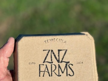 Selling with In-person Payment: Quail Eggs