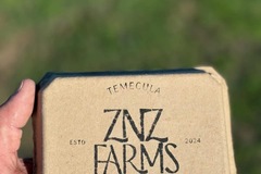 Selling with In-person Payment: Quail Eggs