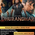 Renting out: India,Watch Dhurandhar 2025 is finally here
