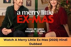 Renting out:   Maharashtra,A Merry Little Ex-Mas (2025) Hindi Dubbed – Full HD