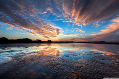 Selling: STRONG Healing Magic Spell Casting For ANY Problem