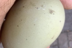 Selling with online payment: Silverudd's blue/Isbar