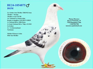 Vente avec paiement en ligne: MALE REPRODUCTEUR