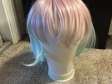 Selling with online payment: Pink and blue wig 