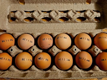 Selling with online payment: Eggs For Sale near Stoutland MO