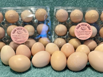 Selling with In-person Payment: Fresh pasture raised eggs in Loving, TX 