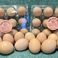 Selling with In-person Payment: Fresh pasture raised eggs in Loving, TX 