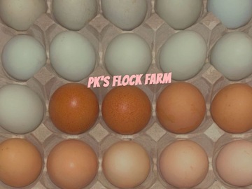 Selling with In-person Payment: Fresh eggs daily 