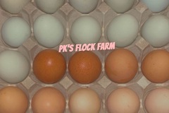 Selling with In-person Payment: Fresh eggs daily 