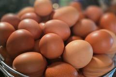 Selling with In-person Payment: Fresh brown chicken eggs (Feather Exchange)