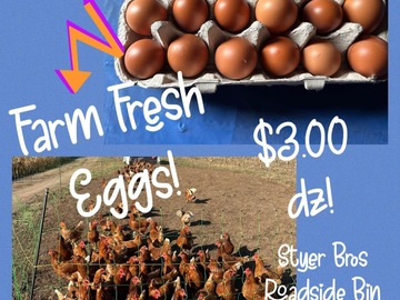 Selling with In-person Payment: Farm fresh eggs 