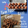 Selling with In-person Payment: Farm fresh eggs 