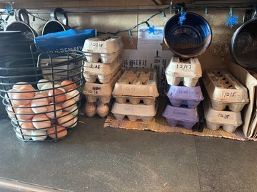 Selling with In-person Payment: Fresh Eggs