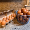 Selling with In-person Payment: Organic fed local eggs!