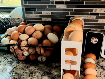 Selling with In-person Payment: Farm Fresh and Organic (Lehigh Acres, FL)