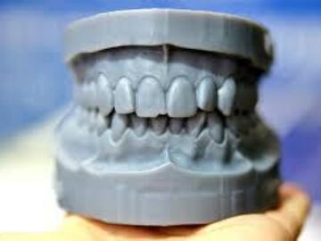 Artikel gevraagd: ortho studie modellen 