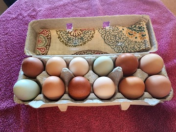 Selling with In-person Payment: Pasture raised eggs