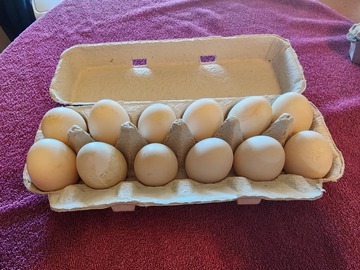 Selling with In-person Payment: Farm fresh duck eggs