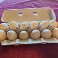 Selling with In-person Payment: Farm fresh duck eggs