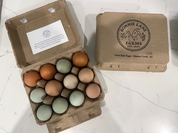 Selling with In-person Payment: Fresh Nest Run Eggs- Organic