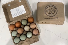 Selling with In-person Payment: Fresh Nest Run Eggs- Organic