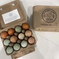 Selling with In-person Payment: Fresh Nest Run Eggs- Organic