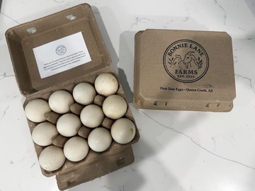 Selling with In-person Payment: Fresh Nest Run Duck Eggs- Organic
