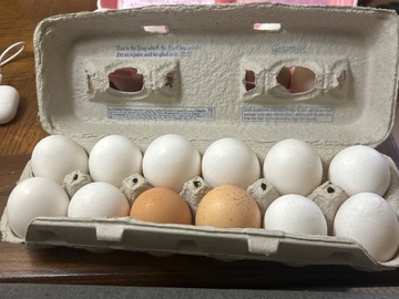 Selling with online payment: Walnut Lane Farms