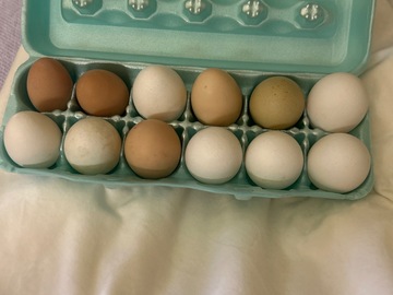 Selling with In-person Payment: Farm Fresh Eggs