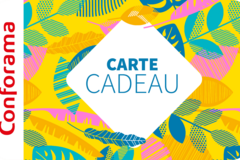 Vente: e-Carte cadeau Conforama (227€)