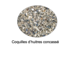 Actualité: ♻️ Ne jetez pas les coquilles d’huîtres ♻️ 
