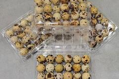 Selling with online payment: Quail eggs