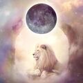 Selling: The Moon is in Leo TODAY! Find out how to connect to your heart!