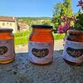 Les miels : Miel toutes fleurs