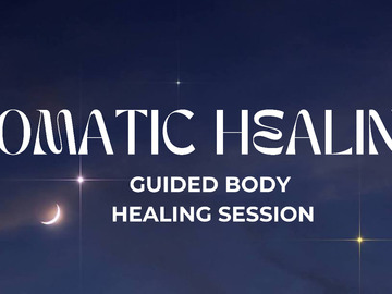 Wellness Session Single: Guided Somatic Healing with Erica