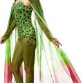Selling with online payment: Poison Ivy Batman and Robin Costume+Wig+Shoes [M]