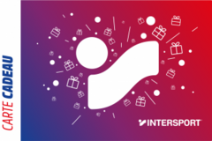 Vente: Cartes cadeaux Intersport (350€)