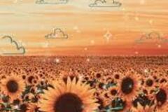 Selling: their next move towards you or next 3 months special offer