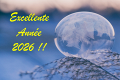 Offre: L'ART DU MASSAGE