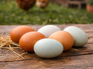 Selling with In-person Payment: Backyard Fresh Eggs