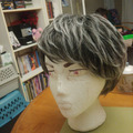 Selling with online payment: Short Grey Wig