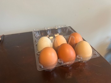 Selling with online payment: Farm fresh chicken eggs